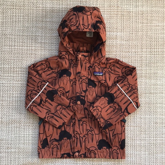 Patagonia Other - Patagonia 3-in-1 Shell Jacket (size 4T)